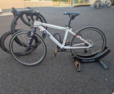 Frog 58 Bike
