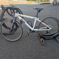 Frog 58 Bike