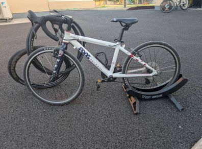 Frog 58 Bike
