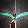 trampoline Image 2
