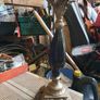 antique lamps pair Image 2