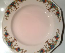 Vintage Alfred Meakin Plate