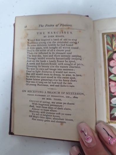 language of poetry of flowers antique book