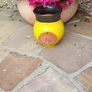gardening Image 6