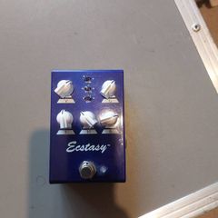 bogner ecstasy mini blue