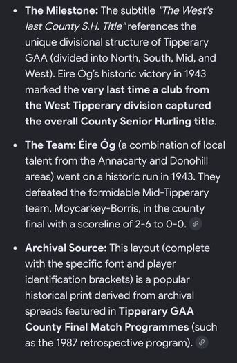 Eire Og Tipperary Hurling Team Old Print