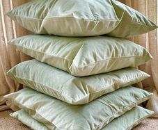Sage green velvet cushions
