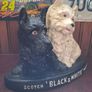 pub memorabilia Image 6