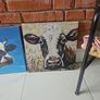 Cow pictures Image 4