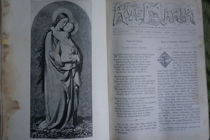 The Ave Maria A Magazine Devoted to the Honor of the Blessed Virgin 1894 and the Bible
