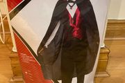 Classic Vampire Costume