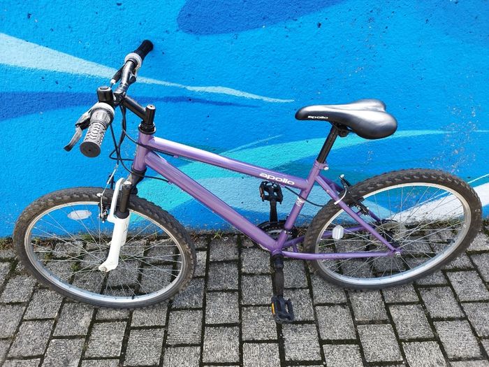 Apollo Mountain Bike