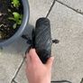 e bike Image 4