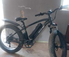 Electric Bike Go Go Best 'fat bike'.
