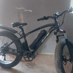 Electric Bike Go Go Best 'fat bike'.