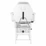 beauty Chair Image 4