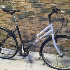 ladies city bike( can deliver)