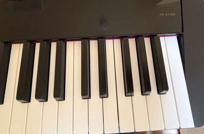 Casio px-s1100 digital piano (Black) + keyboard stand + storage bag