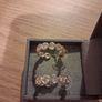 earrings revere brand new Image 6