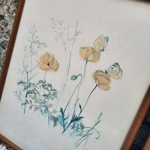 Vintage set of four botanical watercolour prints in oak frames