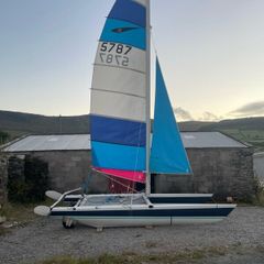 Dart 18