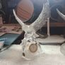 crystal glass figures Image 4