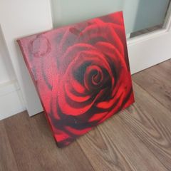 Rose Picture