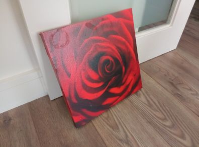 Rose Picture