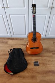 Acoustic Guitar + Strings + Plectrum