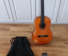 Acoustic Guitar + Strings + Plectrum