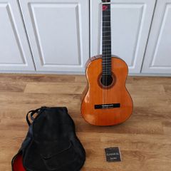 Acoustic Guitar + Strings + Plectrum