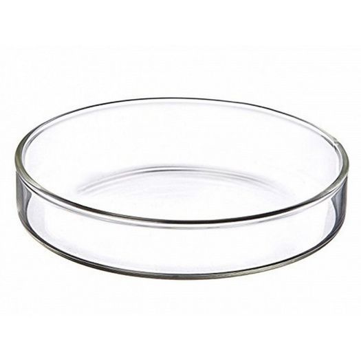 ISTA Glass feeder 7cm