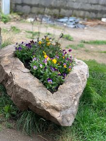Granite Planters