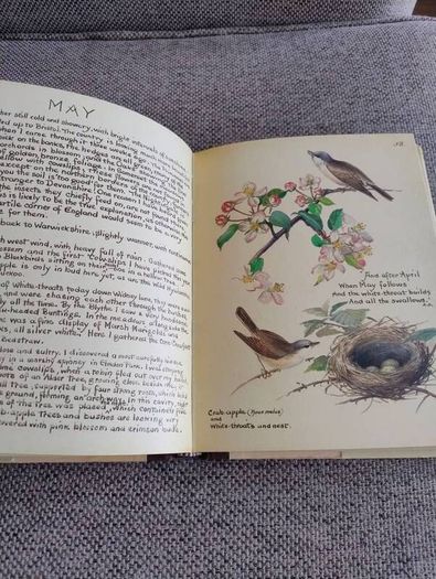 The Country Diary of an Edwardian Lady 1979 by Edith Holden in very good condition with some wear to the dustcover see photos FREE STANDARD POSTAGE INCLUDED