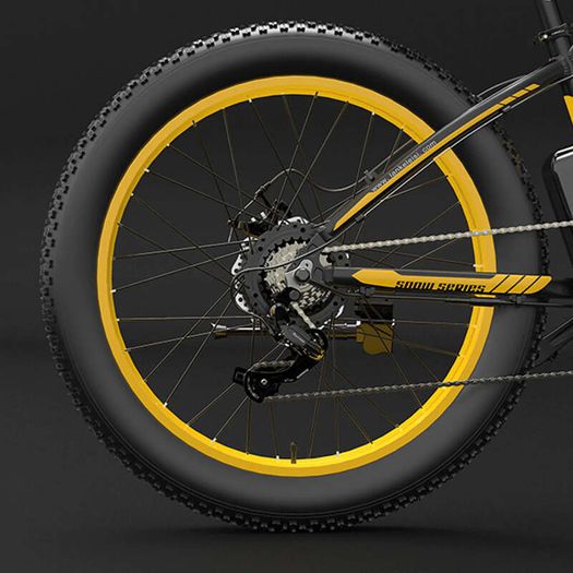 Lankeleisi Xf4000 Electric Bike