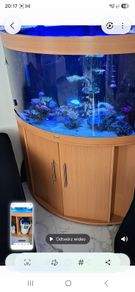 fisht