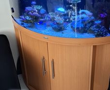 fisht