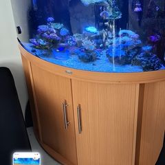 fisht