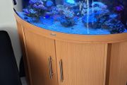fishtank