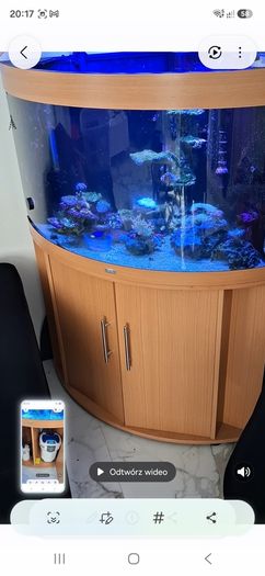 fishtank