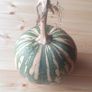 Squash 'Asterix' Irish Seeds Image 4