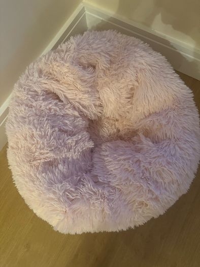 Cat bed