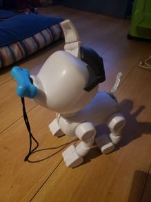 dog e
