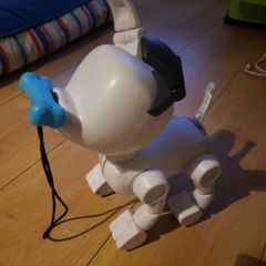 dog e