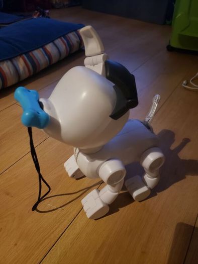 dog e