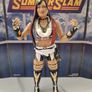 WWE Mattel Elite Wrestling Figures IO Sky Carmello Hayes MORE Image 5