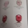 new genuine pandora essence charm Image 4