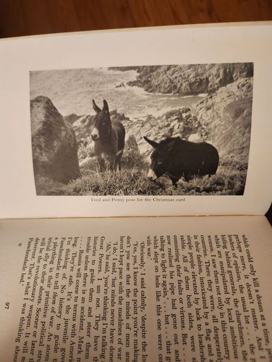 Lama  Derek Taynge. 1966 First Edition Hardback With Dustjacket 37.