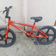 Kid's 20 inch bike