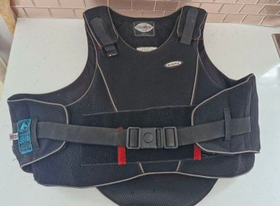Equestrian back protector